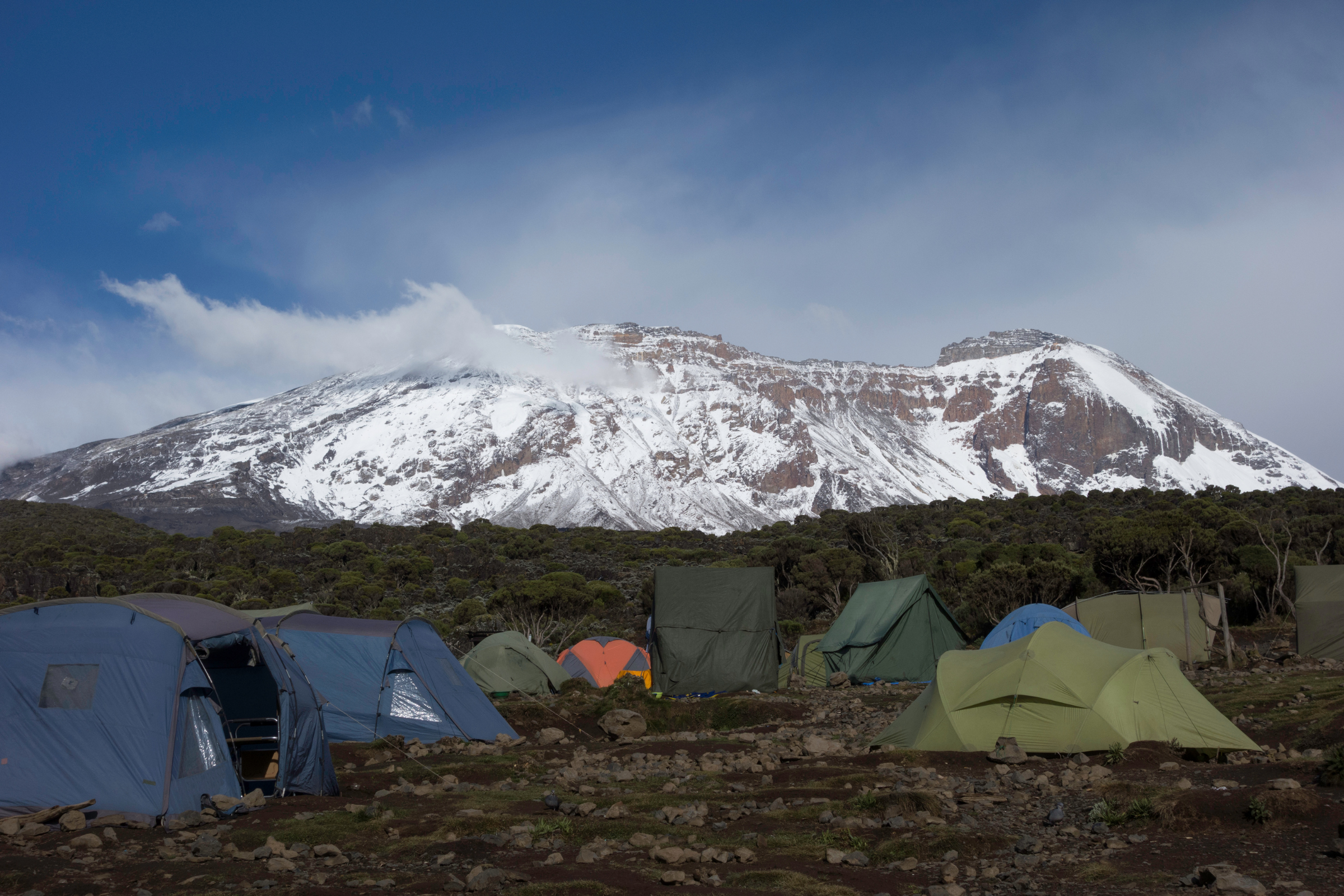 grey glacier camp.webp